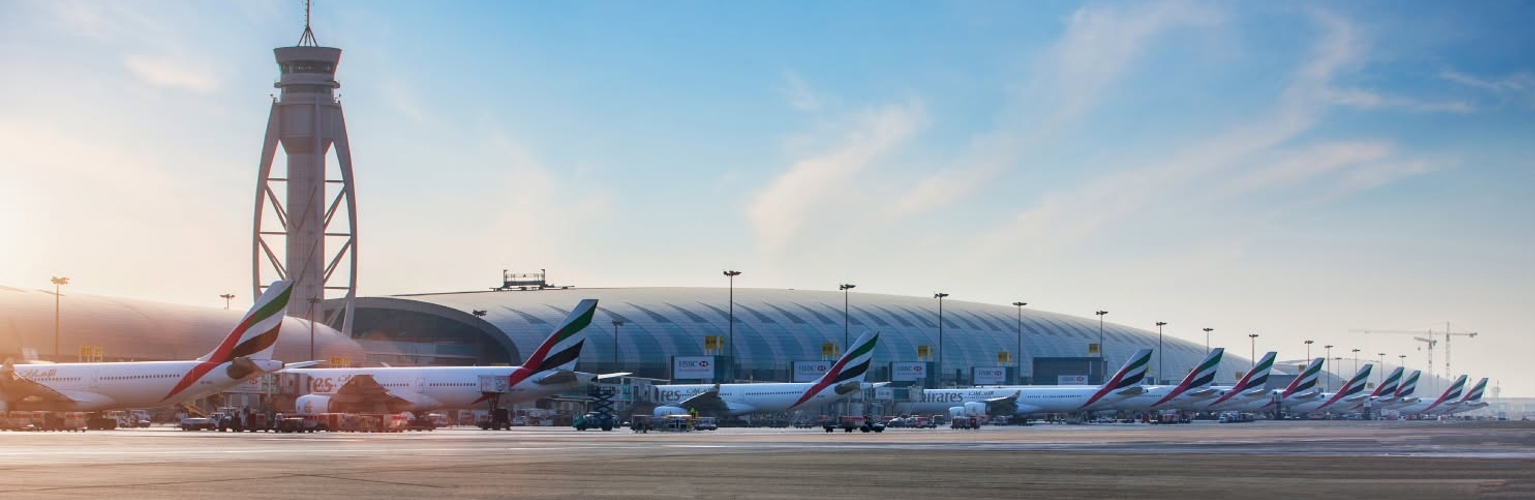 Pet travel to Dubai