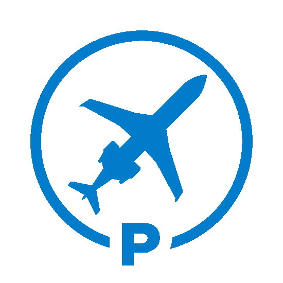 Icon for Private Jet